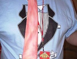 Introducing: The Penis Tie